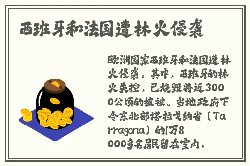 jk裙子全开襟做运动