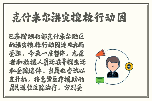 班主任的兔子又大又圆